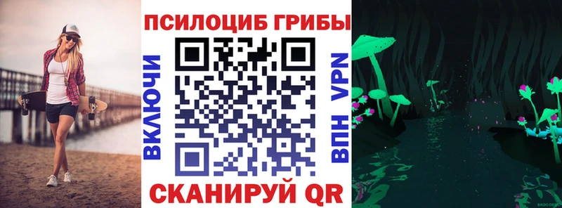 Галлюциногенные грибы Cubensis продажа наркотиков Приморско-Ахтарск