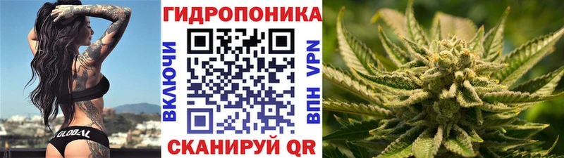 Шишки марихуана семена  наркотики  Приморско-Ахтарск 